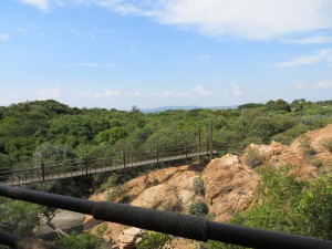 Suspension bridge at monkey sanctuary