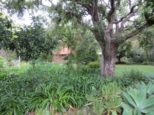Garden at the Cheetah Lodge
