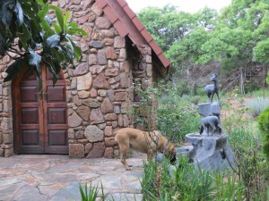 I'm glad this boerboel likes me