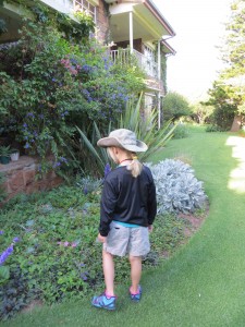 Z dubiously admiring the gardens