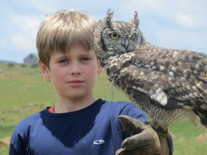 G flying an owl
