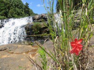 Waterfall near Sabie