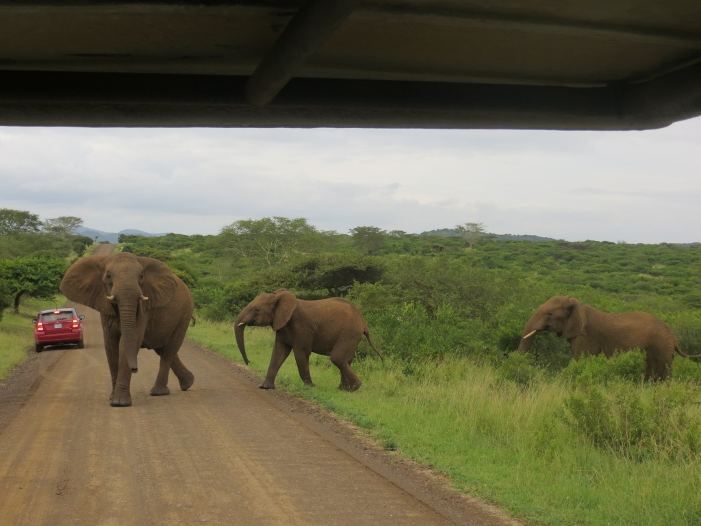 Africa is so cool! Africa is so cool!