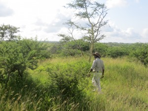 Our guide Siphoe (and his excellent hat) looking for cheetah Our guide Siphoe (and his excellent hat) looking for cheetah