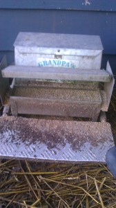 The perplexing chicken feeder The perplexing chicken feeder