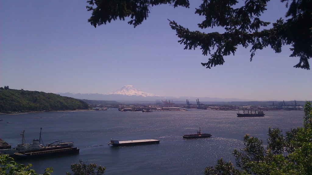 Dash Point View Dash Point View