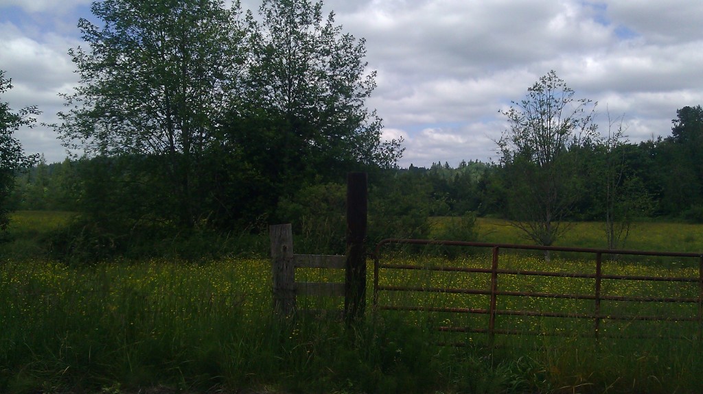 Beautiful, beautiful pasture Beautiful, beautiful pasture