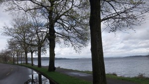Riding along Lake Washington Blvd
