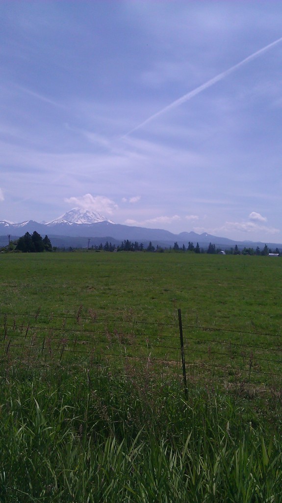 What a view! What a view!