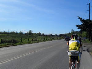 viewofmtrainier