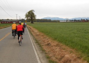 week4 countryroad2